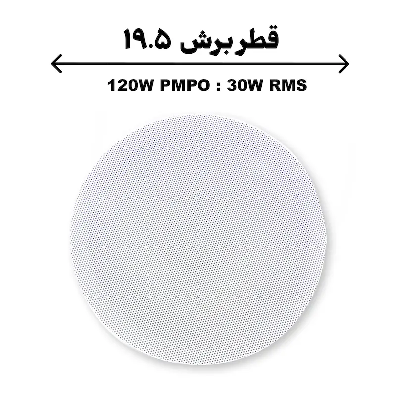 120.webp