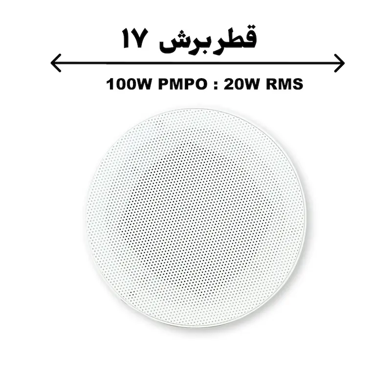 100-1.webp