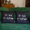 دو کوسن موی گربه کنار هم روی مبل سبز، نمای عمودی