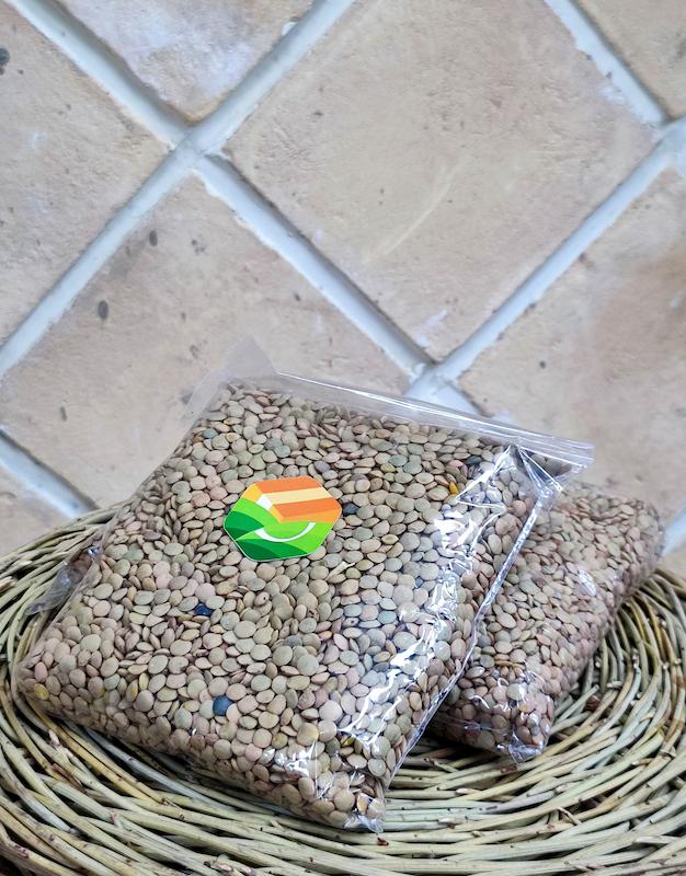 عدس درشت ایرانی