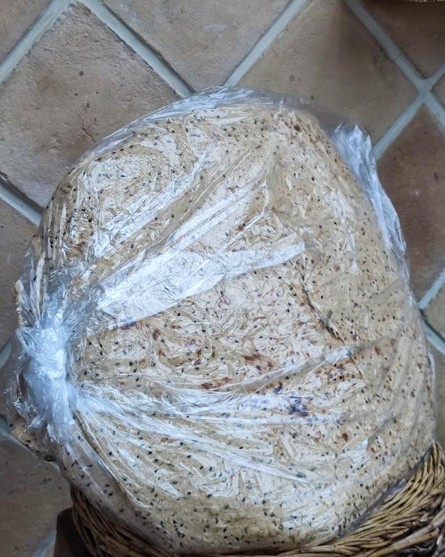 نان آرد گندم کامل