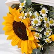 دسته گل کاسیا