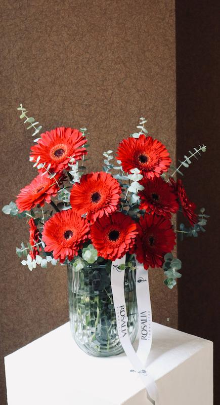 جارگل ژربرا