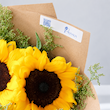 دسته گل آفتاب گردان