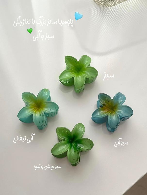 گیره پلومریا سایز بزرگ ۸ سانتی