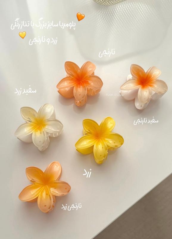 گیره پلومریا سایز بزرگ ۸ سانتی