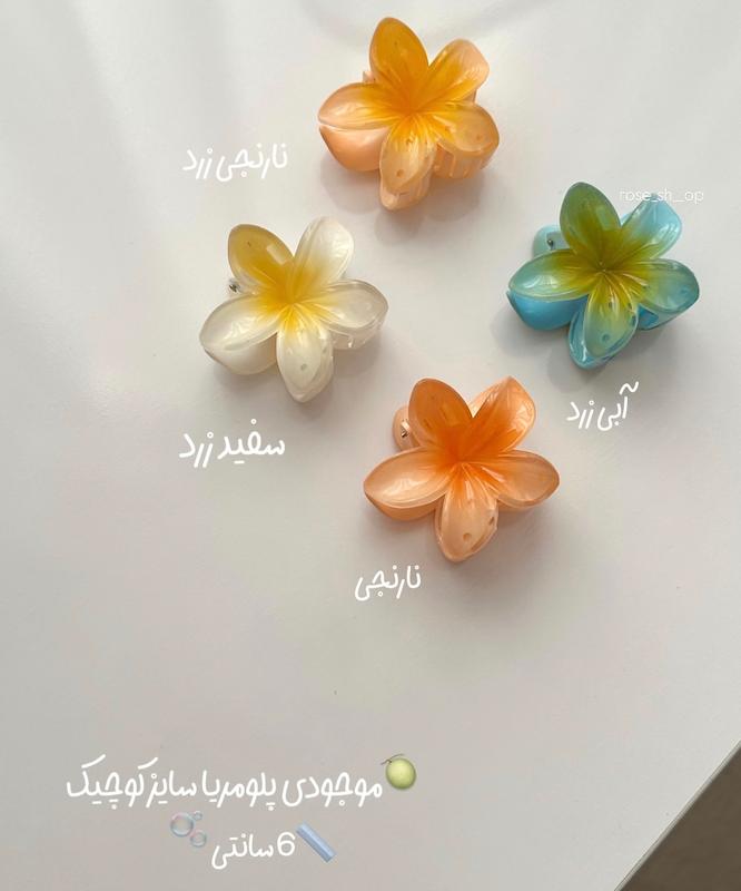 گیره پلومریا کوچیک سایز ۶ سانتی