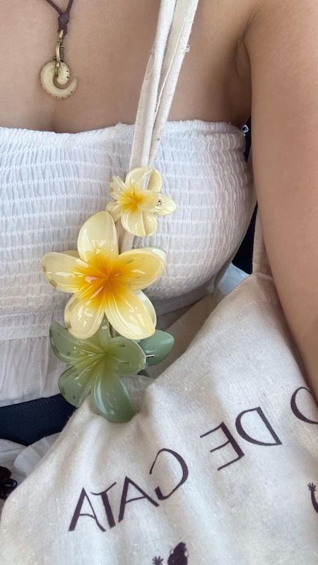 گیره پلومریا کوچیک سایز ۶ سانتی