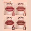 رژلب جامد ٤ در ١ شیگلم SHEGLAM مدل BARE STACK