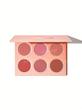 پلت رژگونه پودری شیگلم Sheglam مدل Floral Flush رنگ Blush Palette