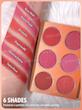 پلت رژگونه پودری شیگلم Sheglam مدل Floral Flush رنگ Blush Palette