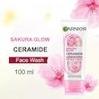 شوینده صورت گارنیر CERAMIDE فرانسه