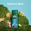شامپو بدن آیریش اسپرینگ IRISH SPRING