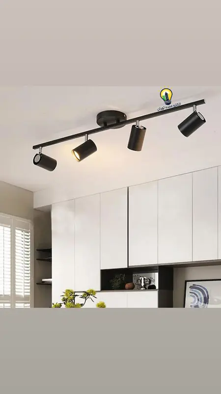 ریل یک متری همراه چهار چراغ متغیر