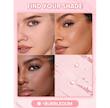 پودر فیکس دومنظوره دو طبقه شیگلم SHEGLAM