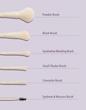 ست براش ۶ تیکه شیگلم (pro core brush kit sheglam)اورجینال