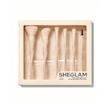 ست براش ۶ تیکه شیگلم (pro core brush kit sheglam)اورجینال