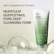 فوم شستشوی منافذ انوا | Anua Heartleaf Quercetinol Pore Deep Cleansing Foam