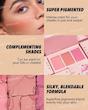 پالت رژگونه سوئیت چیکس کابانا شیگلم | SHEGLAM Sweet Cheeks Blush Palette Cabana
