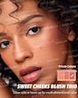 پالت رژگونه سوئیت چیکس کابانا شیگلم | SHEGLAM Sweet Cheeks Blush Palette Cabana