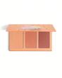 پالت رژگونه سوئیت چیکس کابانا شیگلم | SHEGLAM Sweet Cheeks Blush Palette Cabana