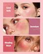 رژگونه فلورال فلاش صورتی شیگلم 🎀| SHEGLAM Floral Flush Rouge-Palette  