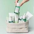 پک کیت مسافرتی تی تریکا (چای سبز) سنتلا ضد جوش و پوست چرب🍃 | SKIN1004 Madagascar Centella Tea-Trica Travel Kit