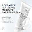 کرم 3 سراماید و پنتول آنوا مرطوب کننده و تقویت کننده سد دفاعی پوست🤍|Anua 3 Ceremide Panthenol Moisture Barrier cream