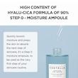 آمپول آبرسان هیالوسیکا سنتلا ماداگاسکار اسکین ۱۰۰۴| Skin 1004 madagascar Centella Hyalu_Cica first ampoule 