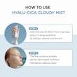 میست آبرسان و تسکین دهنده هیالو سیکا سنتلا اسکین 💙| 1004 SKIN1004 Madagascar Centella Hyalu-Cica Cloudy Mist