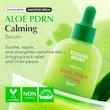 سرم PDRN و آلوئه ورا اکوال بری ترمیم کننده و تسکین دهنده قوی پوست💚| EQQUALBERRY Aloe PDRN Calming Serum