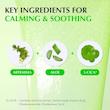 سرم PDRN و آلوئه ورا اکوال بری ترمیم کننده و تسکین دهنده قوی پوست💚| EQQUALBERRY Aloe PDRN Calming Serum