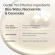 تونر روشن کننده و آبرسان برنج آنوا 250 میل🍚 | Anua Rice 70 Glow Milky Toner