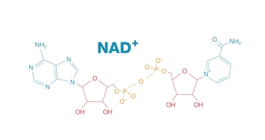 H1 — NAD+ چیست و چرا در سال ۲۰۲۵ ترند اصلی جوانسازی پوست شده؟ (بررسی علمی + بهترین محصولات حاوی NAD+)