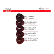 رنگ مو انگوری 6 انگوری متوسط RV6-6.65 بیس کالر