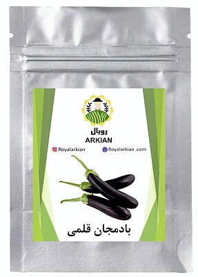 بذر بادمجان قلمی