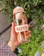 قمقمه پلاستیکی دارای صافی طرح بستنی CUTE 