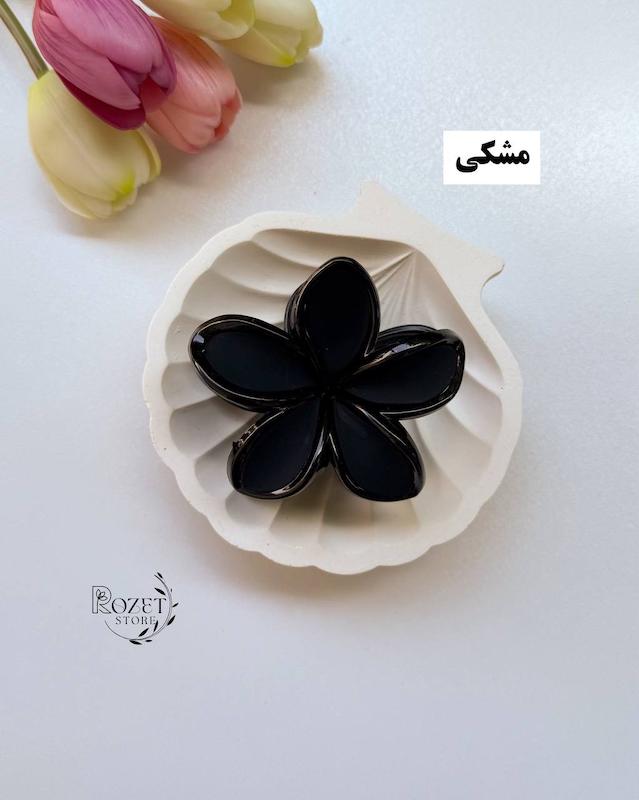 کلیپس مو‌ دوقاب پلومریا 