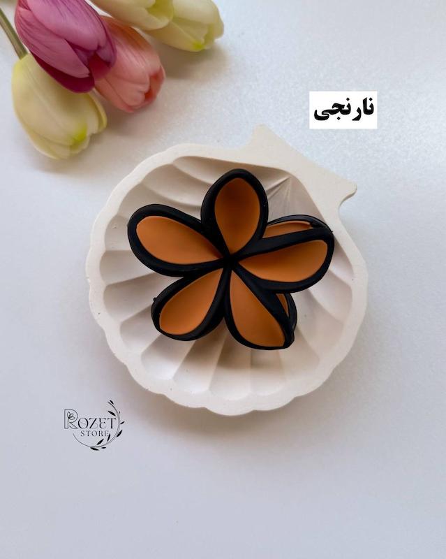 کلیپس مو‌ دوقاب پلومریا 