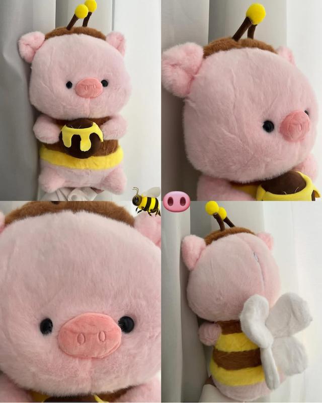 خوکی خانوم زنبوری