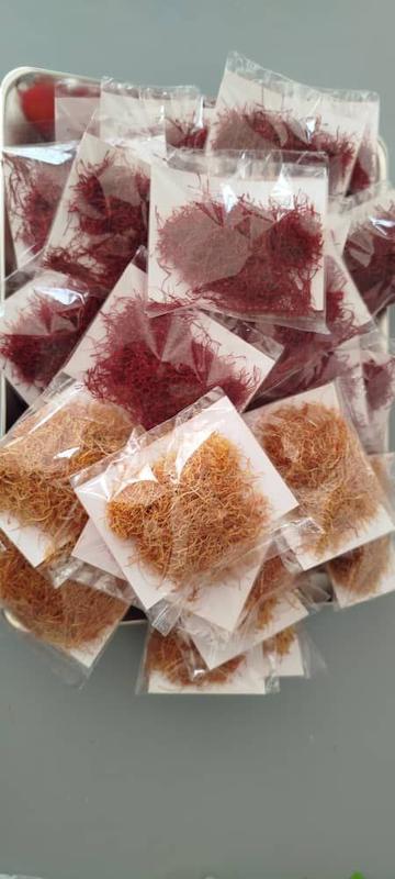 ریشه سفیده  زعفران 