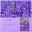 ماسک ورقه ای لاوندر Lavender بیوآکوا Bioaqua