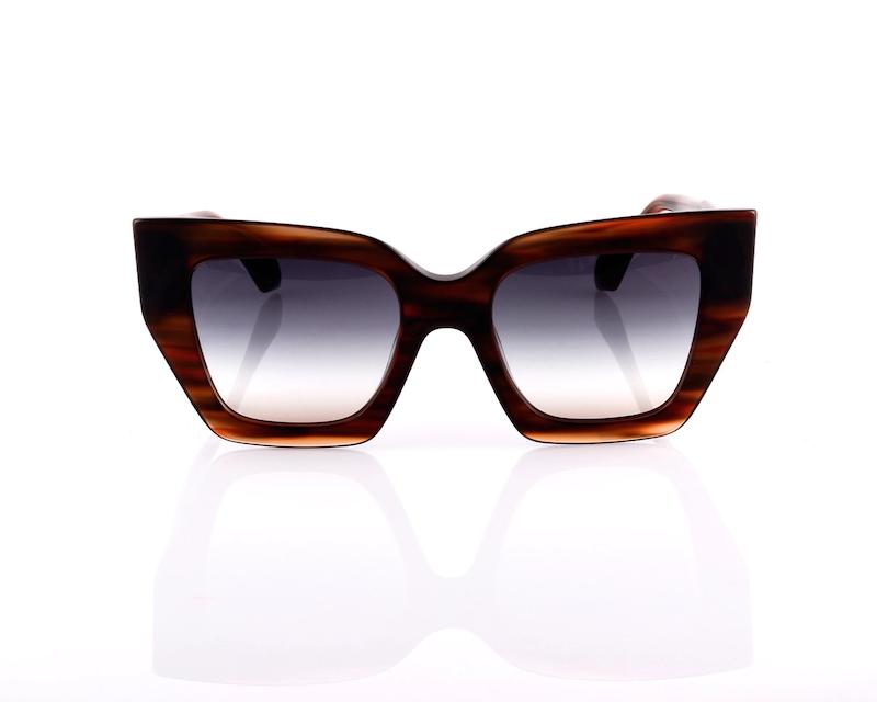 عینک آنا هیکمن Ana Hickmann – AH9364 – E01