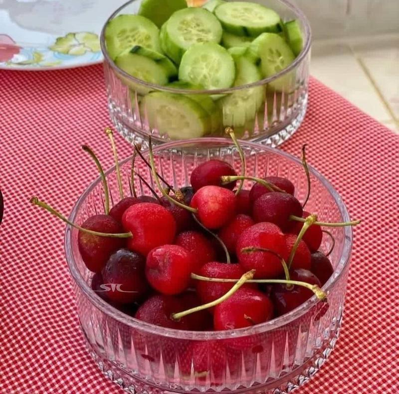 پیاله جفتی elysia