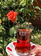 نعلبکی کلاسیک