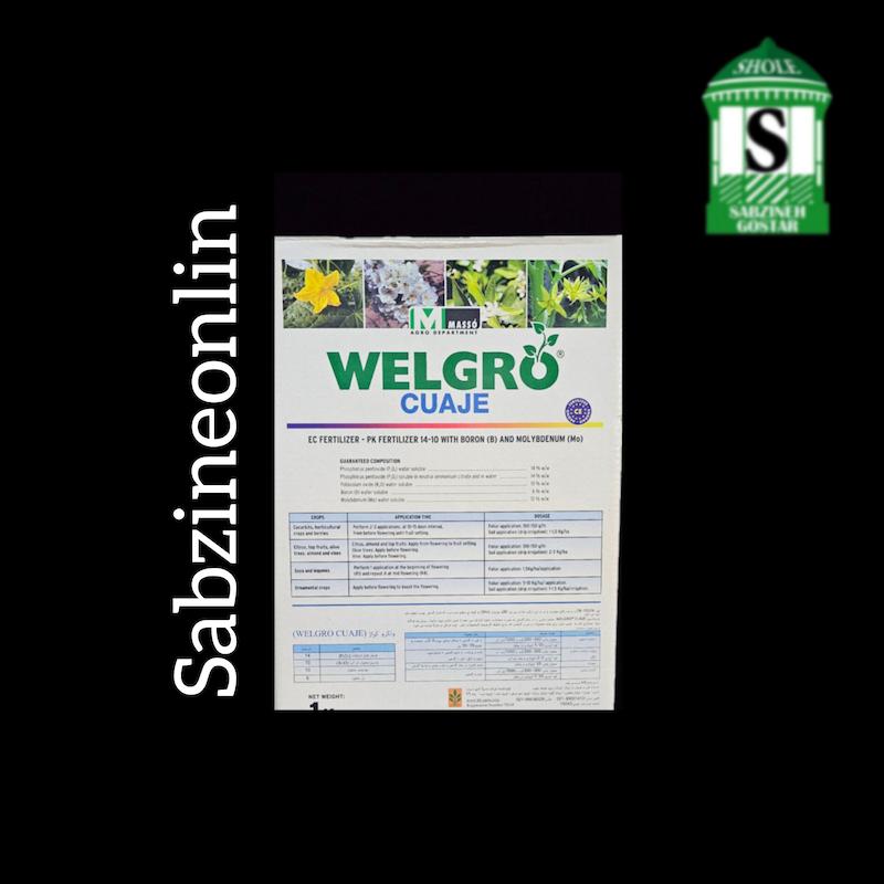 ولگرو کواژ (Welgro Cuaje)