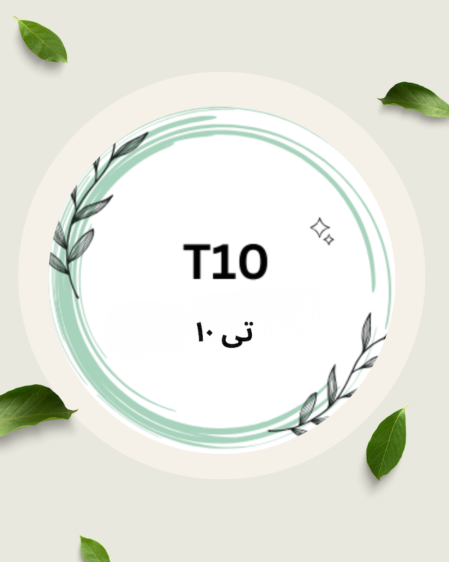 تی ۱۰ و اس ۸