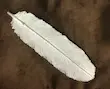 جاعودی طرح برگ 