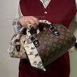 کیف صندوقی زنانه طرح برند کد 2095