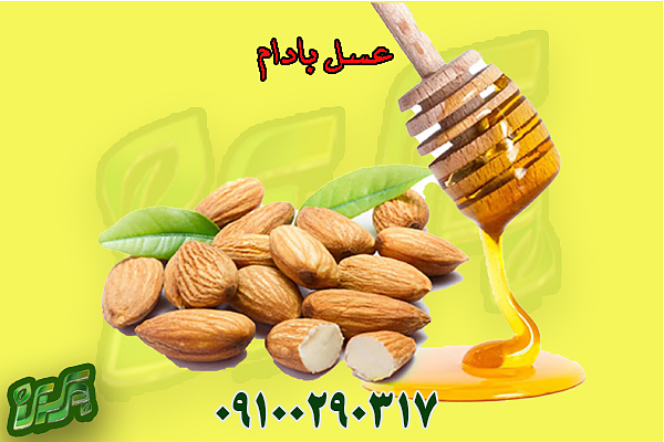 عسل بادام ارگانیک( بسیار تلخ)- یک کیلویی